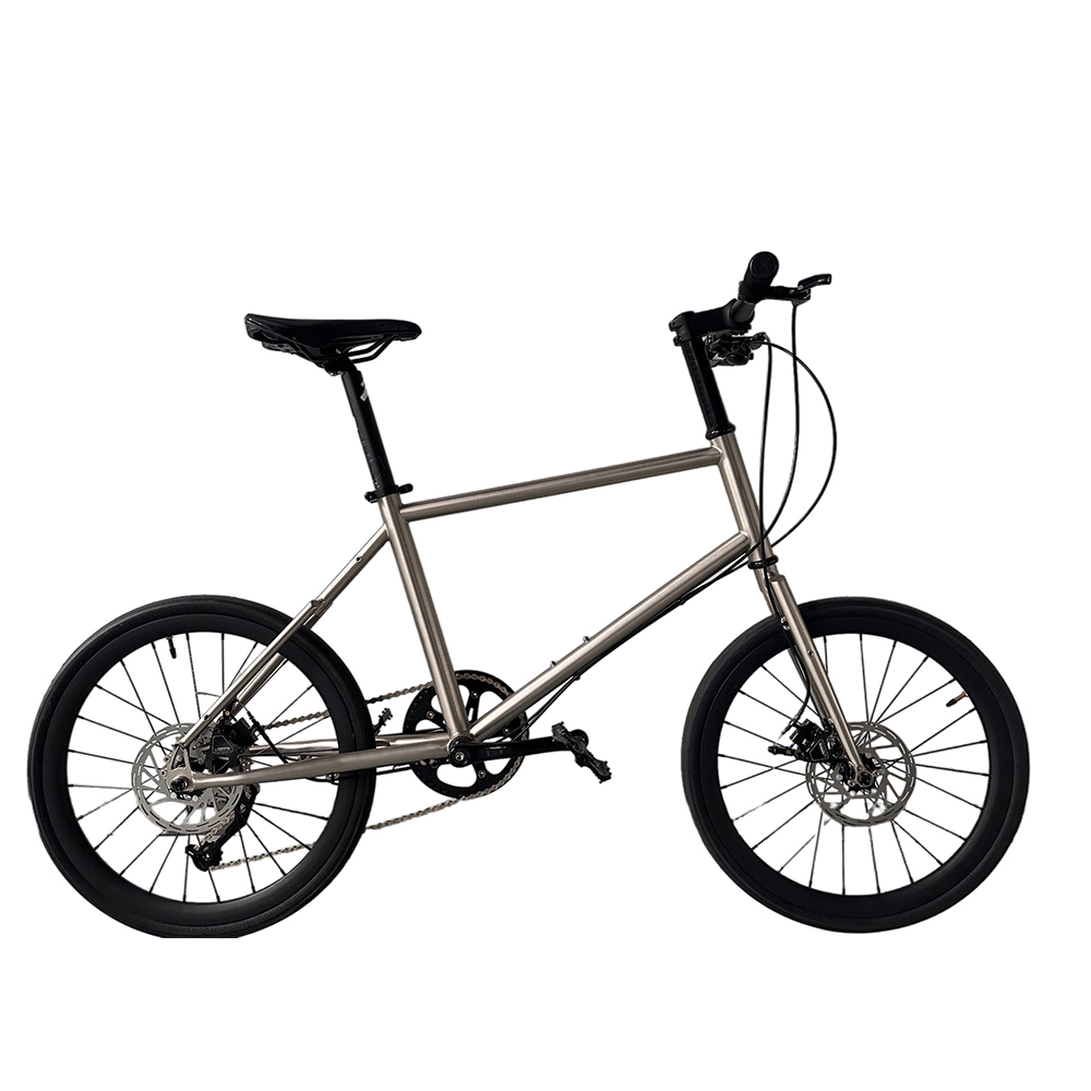 20 Inch Boy Bikes Child Gear B - Cycling Gear Manufacturer review and price